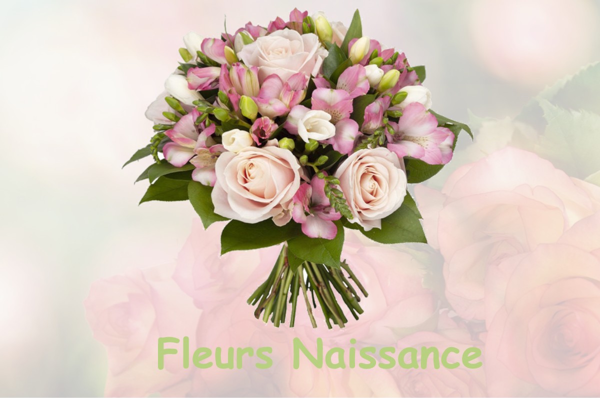 fleurs naissance COLOMARS