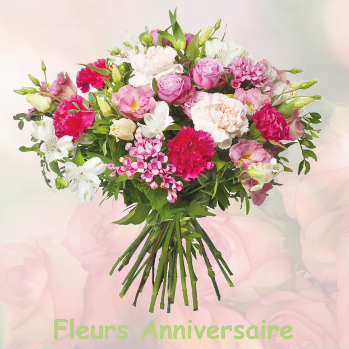 fleurs anniversaire COLOMARS