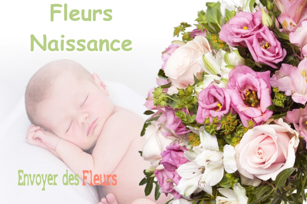 lIVRAISON FLEURS NAISSANCE à COLOMARS